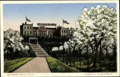 Ak Werder an der Havel, Baumblüte, Aufgang zur Bismarck-Höhe