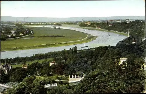 Ak Dresden Loschwitz, Burgberg, Panorama