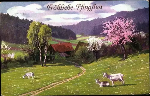 Künstler Ak Mailick, Glückwunsch Pfingsten, Landschaft mit Ziegen