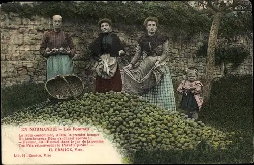 Ak Notre Normandie, des Pommes