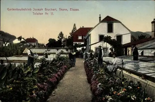 Ak Thann Elsass Haut Rhin, Gartenbaubetrieb Joseph Bruckert