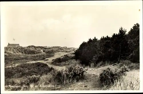 Ak Nes Ameland Friesland Niederlande, Bij de Kooiplaats