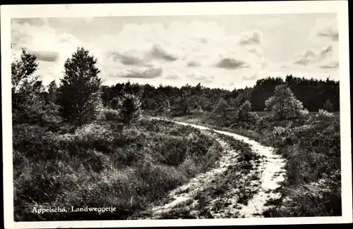 Ak Appelscha Fryslân Friesland Niederlande, Landweggetje
