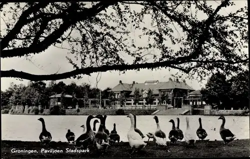 Ak Groningen Niederlande, Paviljoen Stadspark