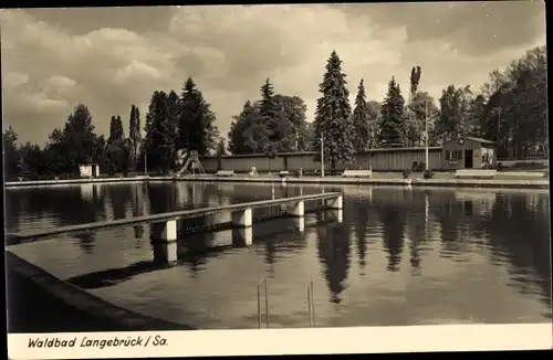 Ak Dresden Langebrück, Waldbad, Schwimmbecken