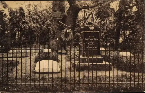 Ak Wöbbelin in Mecklenburg, Theodor Körner Grab