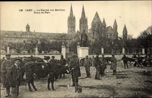 Ak Caen Calvados, Le Marché aux Bestiaux, Place du Parc