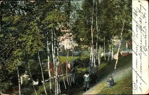 Ak Venlo Limburg Niederlande, Dorfpartie