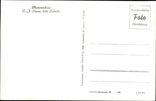 Ak Sebnitz Sächsische Schweiz, C. J. Sturm, Blumenschau