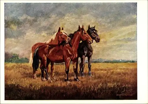 Künstler Ak Friedmann, H. M., Auf der Weide, Drei Pferde