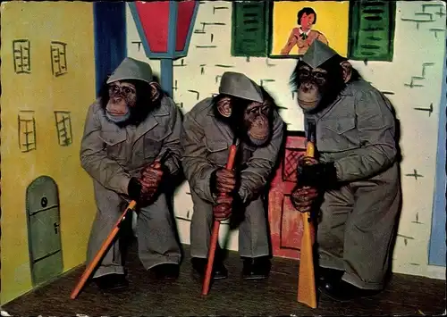 Ak Schimpansen in Uniformen mit Gewehren, vermenschlichte Affen