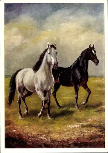 Künstler Ak Friedmann, H., Zwei Pferde auf der Koppel