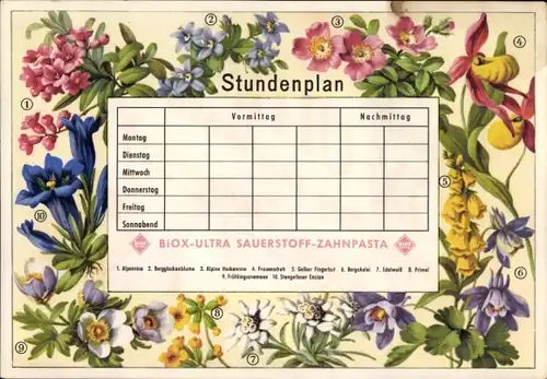 Stundenplan Reklame BIOX-Ultra Zahnpasta, Bilderchecks, Blumen, Pflanzen um 1960