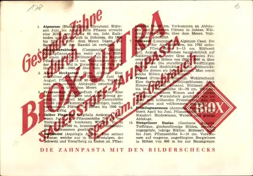 Stundenplan Reklame BIOX-Ultra Zahnpasta, Bilderchecks, Blumen, Pflanzen um 1960