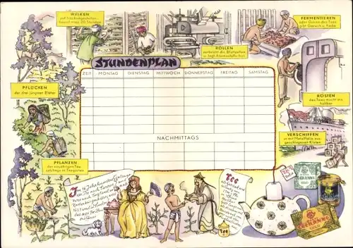 Stundenplan Reklame Marke Teekanne, Tee Anbau Zubereitung um 1950