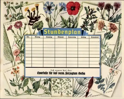 Stundenplan Sparkasse Herzogtum Gotha, Unkräuter Blumen Mohnblume um 1930
