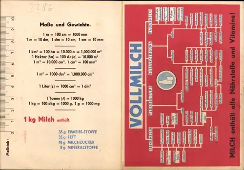 Stundenplan Schulmilch trinken, Vollmilch Nährstoffe und Vitamine um 1960