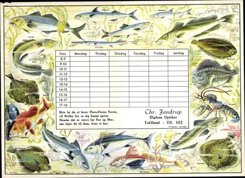 Stundenplan Chr. Jandrup Optiker, Toftund Dänemark, Flora und Fauna um 1960