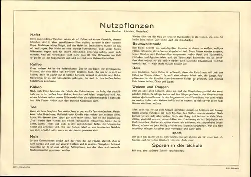 Stundenplan DDR, Sparen in der Schule, Nutzpflanzen, Sparen trägt Früchte um 1960