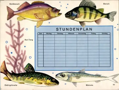 Stundenplan, Fische, Gebirgsforelle, Makrele, Barsch, Goldbarsch um 1950