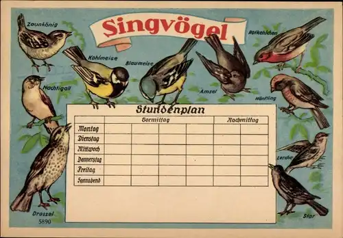 Stundenplan Apotheke Camberg (Nassau), Singvögel, Drossel, Zaunkönig, Amsel um 1960