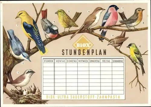 Stundenplan BIOX-Ultra Sauerstoff-Zahnpasta - einheimische Vögel - Rotkehlchen Zaunkönig um 1960