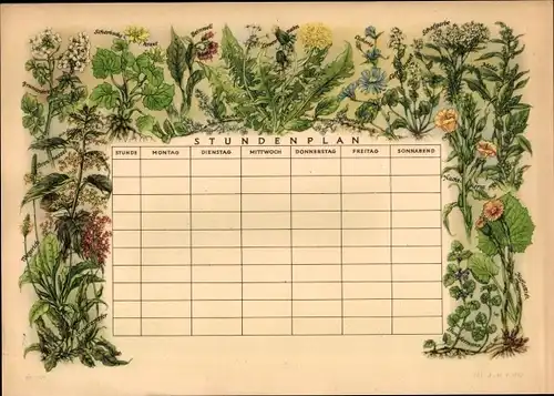 Stundenplan Wildgemüse, Brennnessel Schafgarbe Löwenzahn um 1960