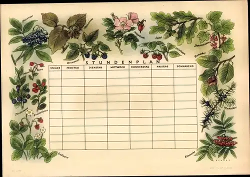 Stundenplan Wildfrüchte, Erdbeere Peiselbeere Heidelbeere Eichel um 1960