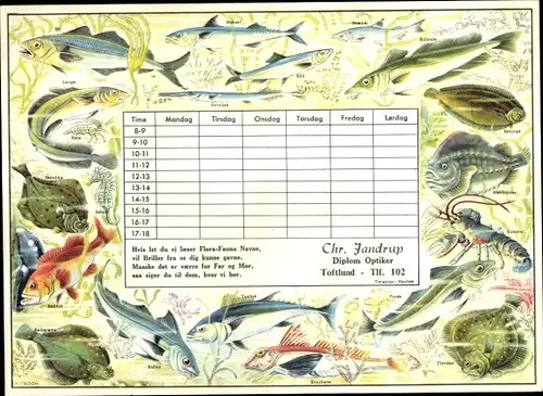 Stundenplan Chr. Jandrup Optiker, Toftund Dänemark, Flora und Fauna um 1960