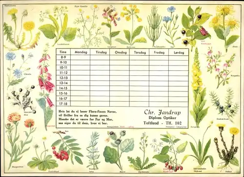 Stundenplan Optiker Uhrmacher Chr. Jandrup Toftlund Dänemark - Flora-Fauna Wildblumen um 1950