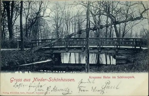 Mondschein Ak Berlin Pankow Niederschönhausen, Krumme Birke im Schlosspark