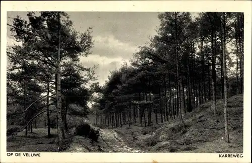 Ak Hoge Veluwe Gelderland Niederlande, Karreweg