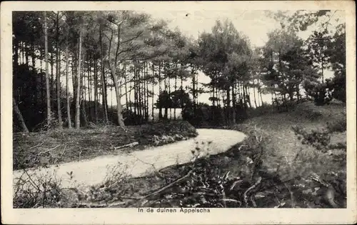 Ak Appelscha Fryslân Friesland Niederlande, In de duinen, Cafe Duinen-Zathe, Ingang Duinen