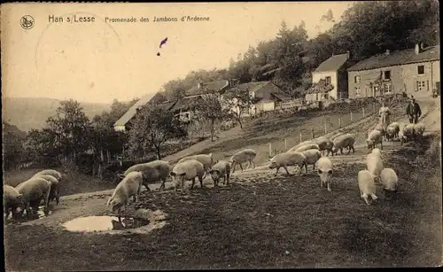 Ak Han sur Lesse Wallonien Namur, Promenade des Jambons d'Ardenne