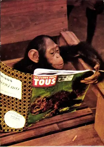 Ak Schimpanse eine Zeitung lesend