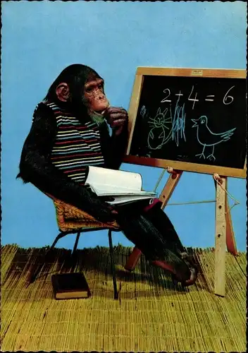 Ak Schimpanse beim Lernen, Tafel, Heft