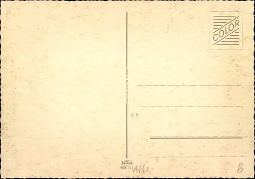 Ak Schimpanse mit Blumen, Kleidung