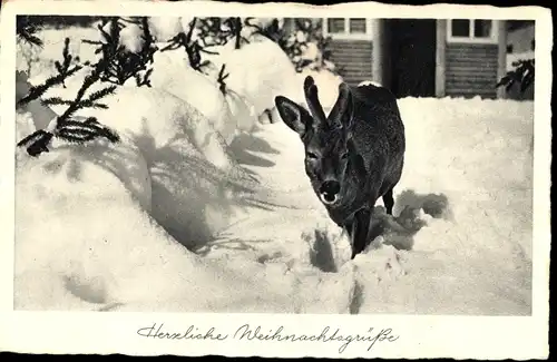 Ak Glückwunsch Weihnachten, Reh, Winterszene, Haus