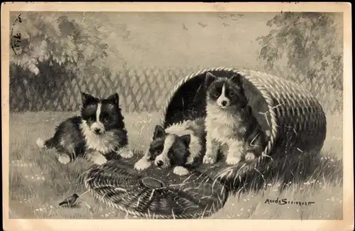 Künstler Ak Scrivener, Maude, Hundewelpen, Junge Hunde, Korb, Vogel