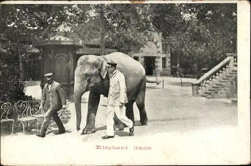 Ak Zwei Wärter mit einem indischen Elefanten, Tiergarten