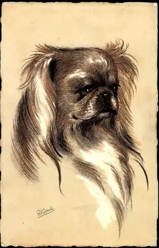 Künstler Ak Pekingese, Pekinese, Hund-Portrait