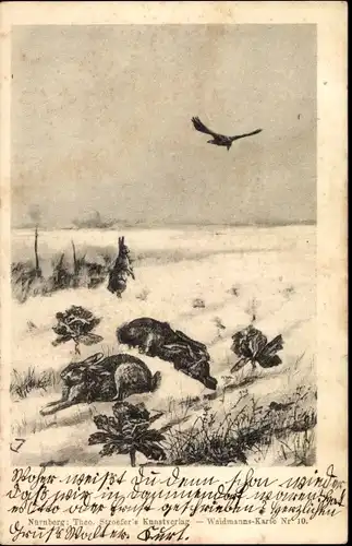 Ak Hasen auf einer Wiese, Vogel im Flug