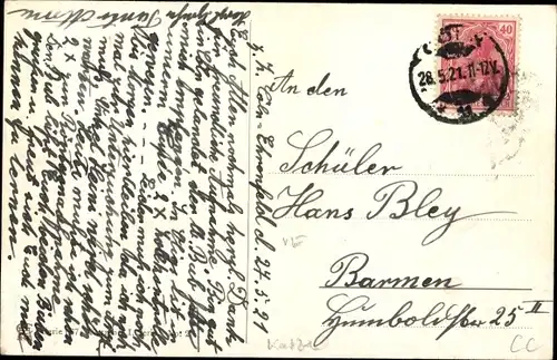 Ak Zwei Katzen und eine Hummel