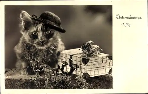 Ak Unternehmungslustig, Katze mit Koffer und Hut