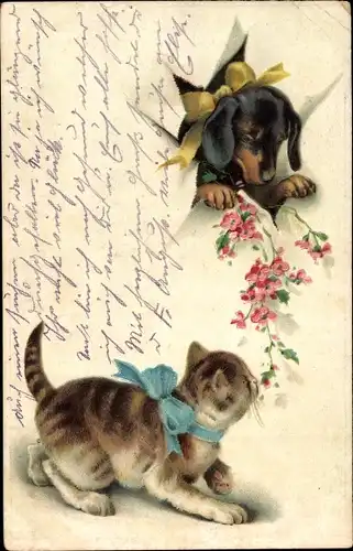 Präge Ak Katze und Dackel, Blumen