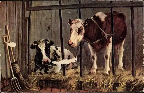 Ak Kühe im Kuhstall, Bauernhof, Heugabel, Besen