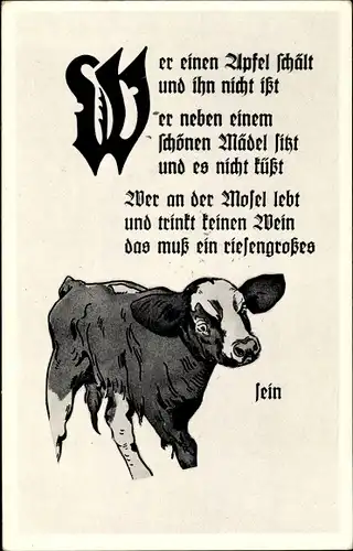 Ak Wer an der Ahr lebt und trinkt keinen Wein, das muss ein riesengroßes Rindvieh sein