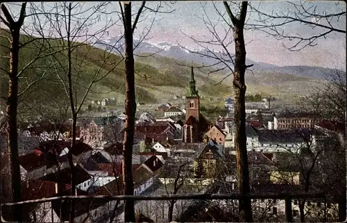 Ak Bruck an der Mur Steiermark, Stadt vom Schlossberg aus gesehen
