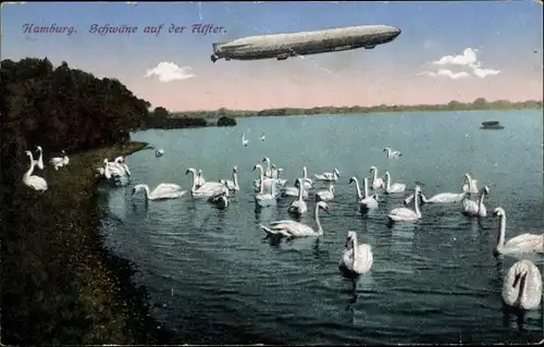 Ak Hamburg Mitte Altstadt, Schwäne auf der Alster, Zeppelin