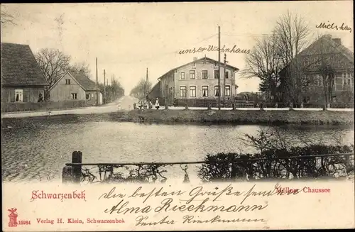 Ak Schwarzenbek in Lauenburg, Möllner Chaussee